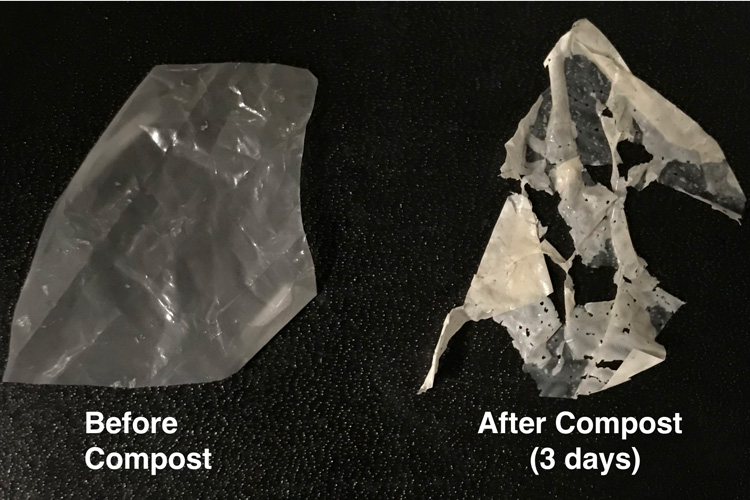 Biodegradable Plastics door handle.jpg